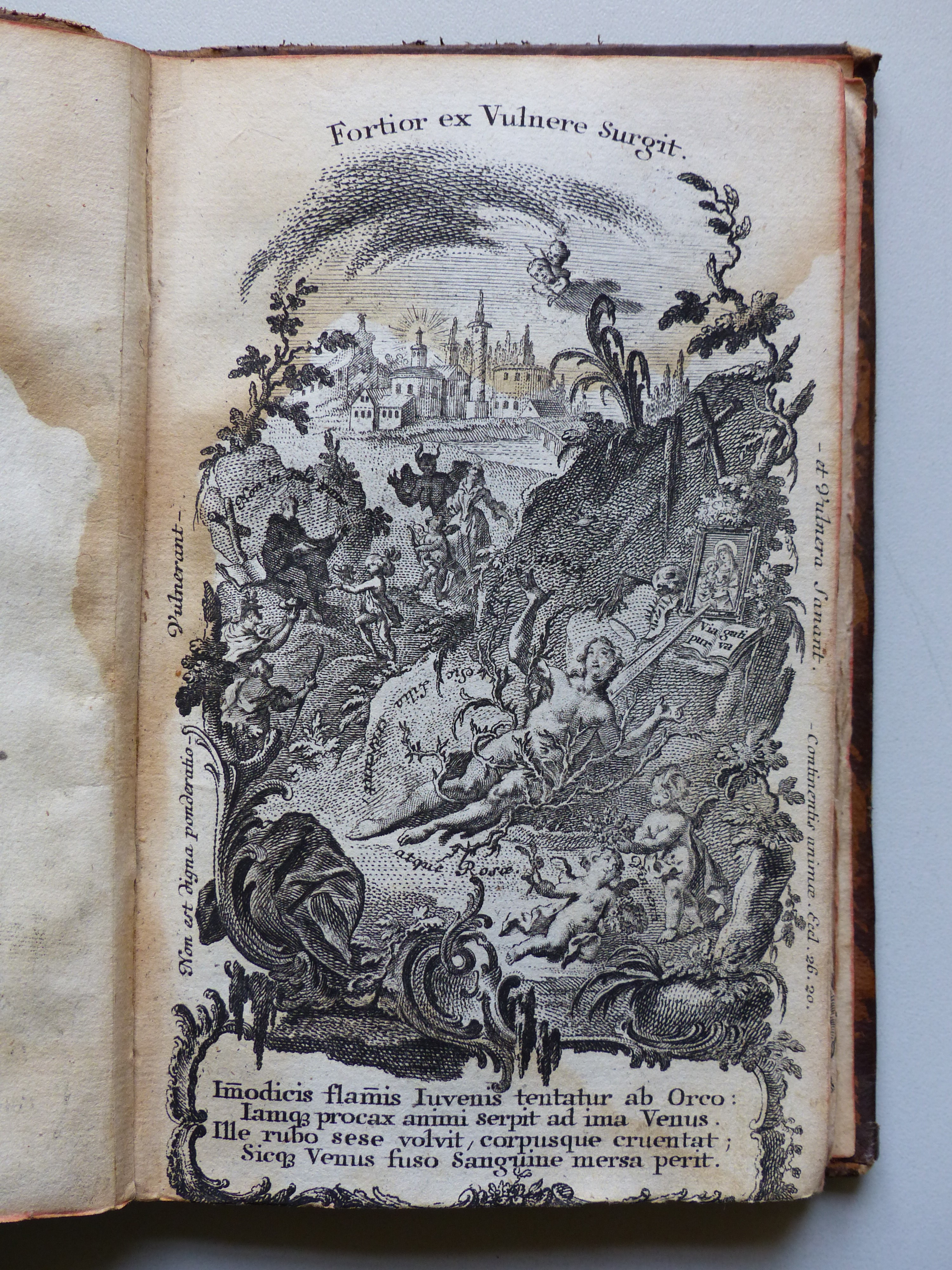Fortior ex Vulnere surgit.JPG