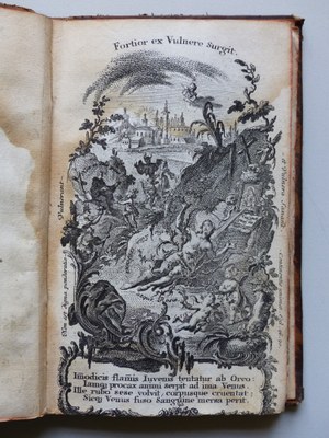 Fortior ex Vulnere surgit.JPG