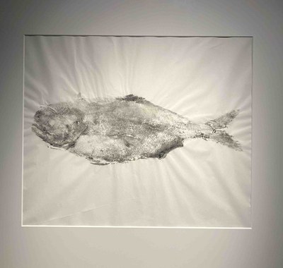 gyotaku.jpg
